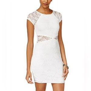 Ivory Lace Bodycon Dress with Sheer Rib and Shoulder Detail